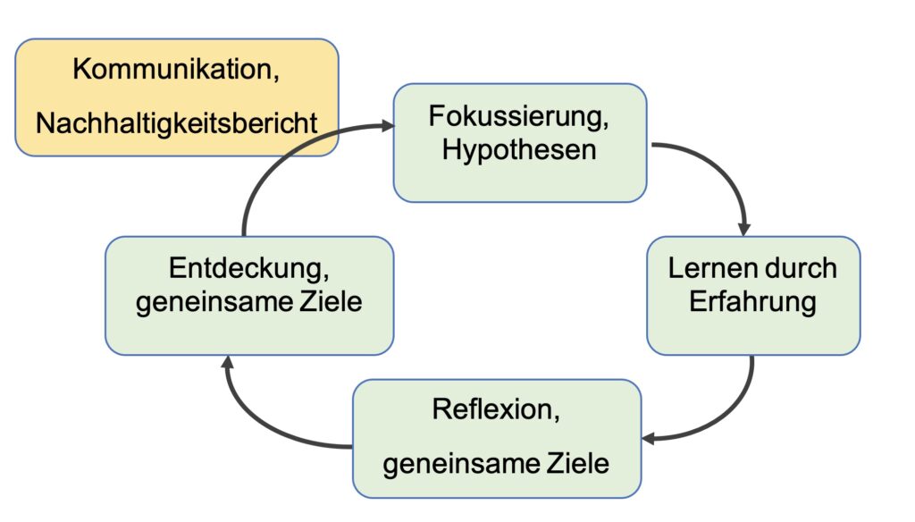 Das Rad des Lernens, nach Peter Senge "Das Fieldbook zur 5. Disziplin"